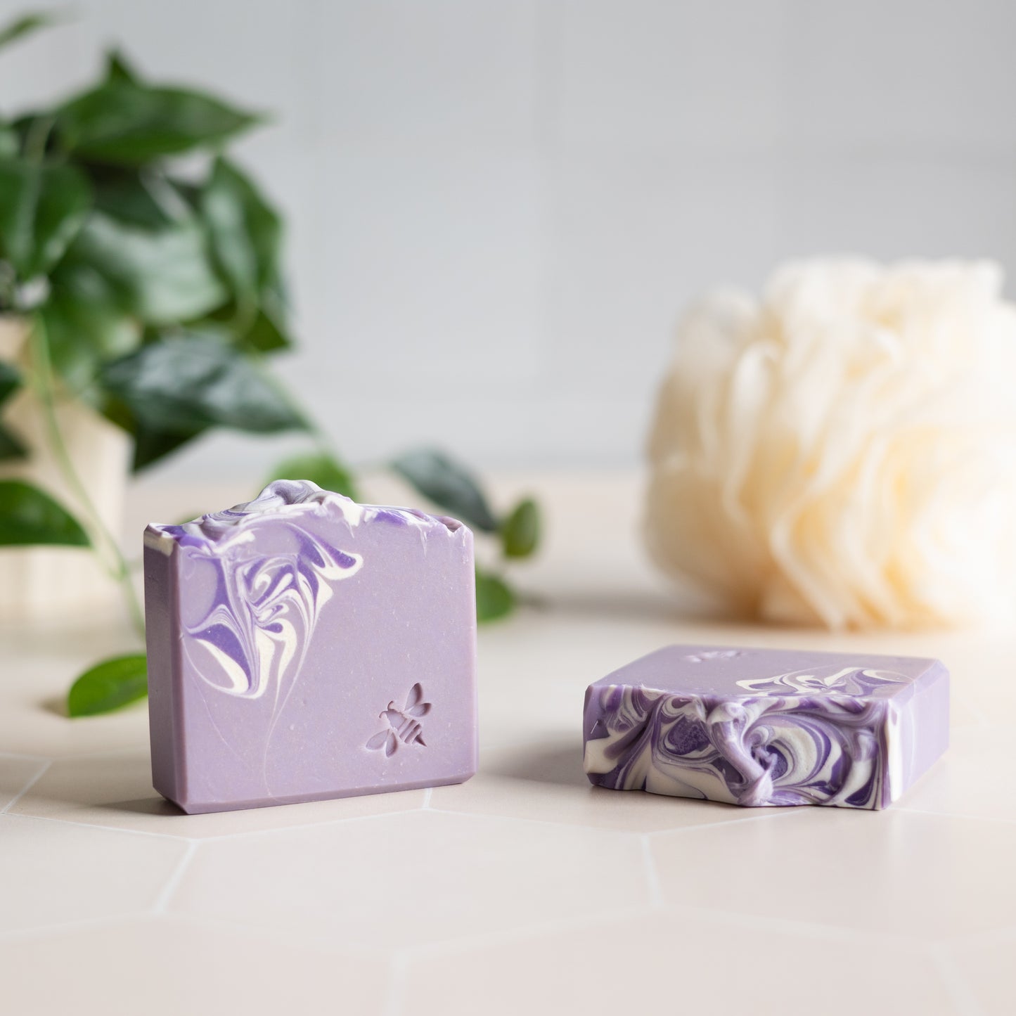 Lilac Blossoms